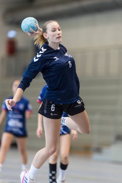 Bild 252 - wBJ HTS/BW96 Handball - Niendorfer TSV : Ergebnis: 27:27